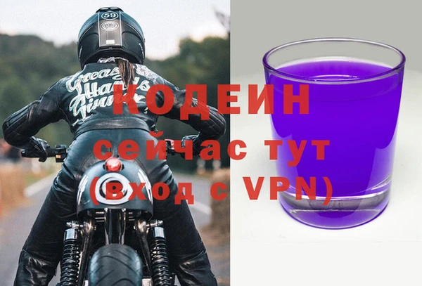 винт Богданович